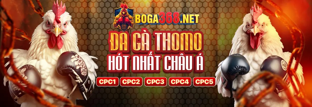 Chương Trình VIP vin99